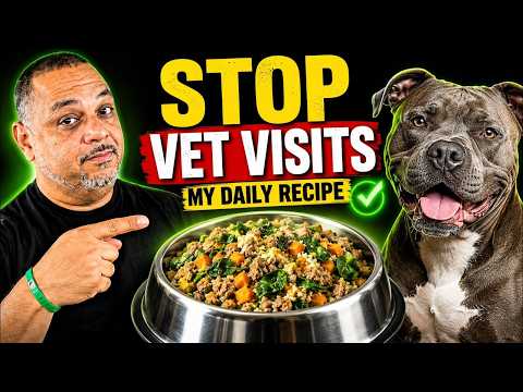 This Simple Maintenance Dog Food Recipe Improves Everything And Prevents Yeast/Vet Visits