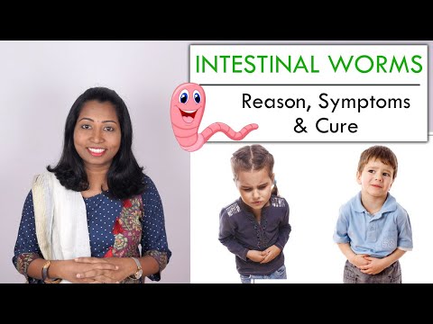 hogyan lehet megszüntetni a pinworm parazitákat a gyermekeknél