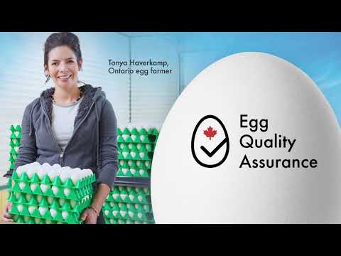 Egg Quality Assurance | Egg Farmers of Ontario