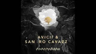 Avicii Ft Sandro Cavazza - So Much Better ( REMIX )
