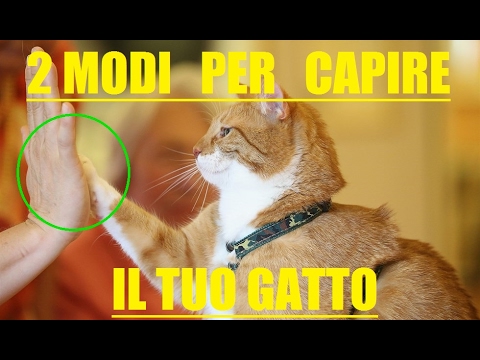 I parassiti che vivono in un corpo umano I vermi a quale classe appartiene