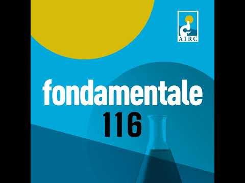 Andrea Necchi-6