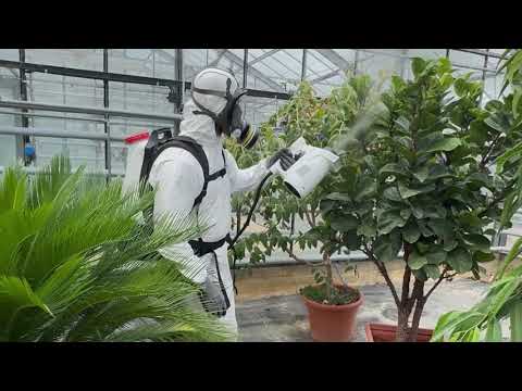 Škropilnica SOLO eFog 480