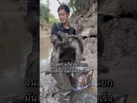 สูบน้ำอ่างเก็บน้ำทั้งบ่อ เพื่อล่าตะพาบยักษ์ตัวเดียว!