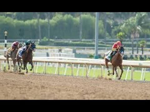 Hollywood Gold Cup (G1)  2020