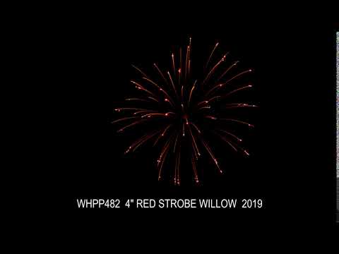 WHPP482  4" RED STROBE WILLOW  2019
