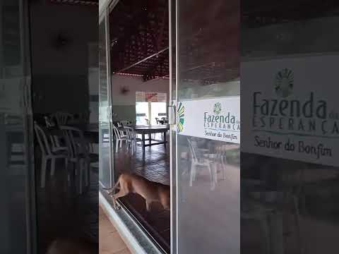 Fazenda da Esperança de Lajeado -Tocantins