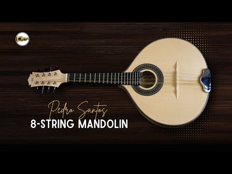 Pedro Santos 8-String Mandolin | Brazil 2025 image 10