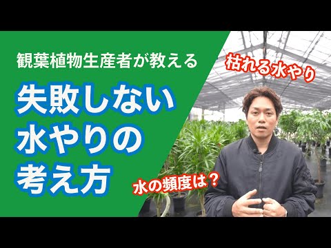 なぜワインで植物に水をやるのですか？植物を元気づけ、残ったワインを再利用するためのヒント  庭園