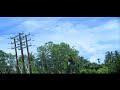 Kolkata To Krisnanagar Nature Green Green View Manike Mage Hithe