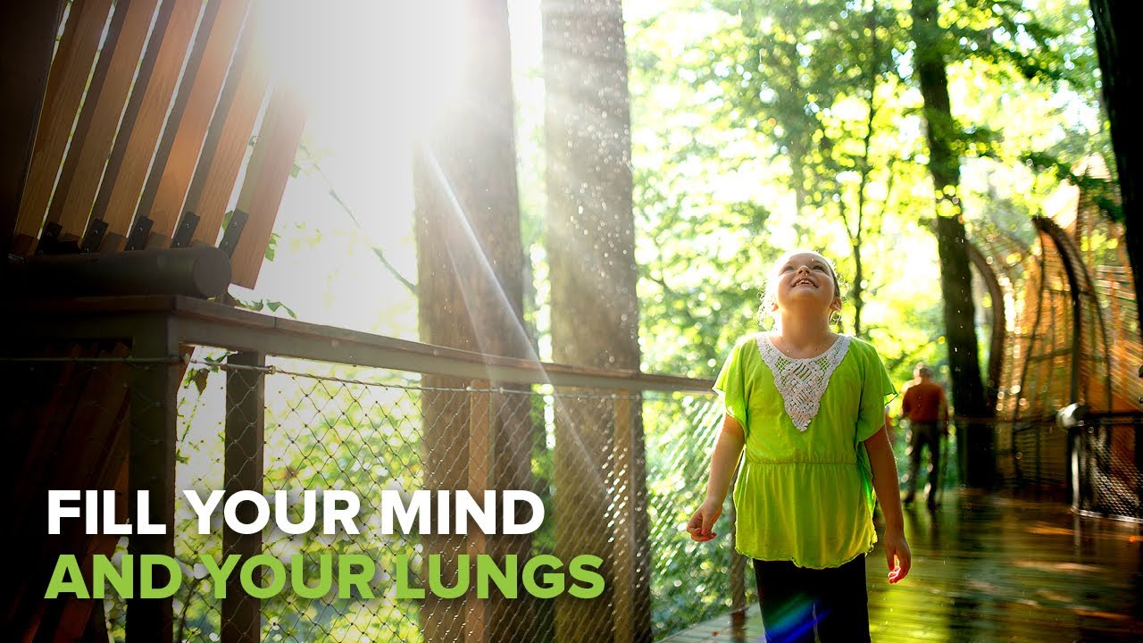 Fernbank Fly-through Virtual Tour