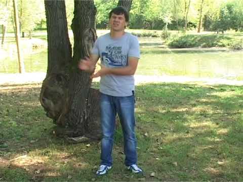 Zlatko Nedeljko Pepsi - Tri predsjedniki