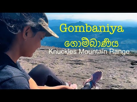 ගොම්බාණිය- Gombaniya Hike | Knuckles Mountain Range Sri Lanka | Travel Vlog (16 Feb 2025)