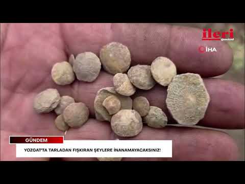 Yozgat'ta tarladan fışkıran şeylere inanamayacaksınız! | İleri Gazetesi
