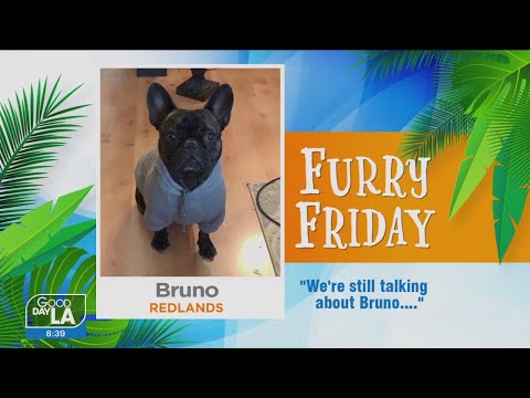 Furry Friday: Jan. 6, 2023