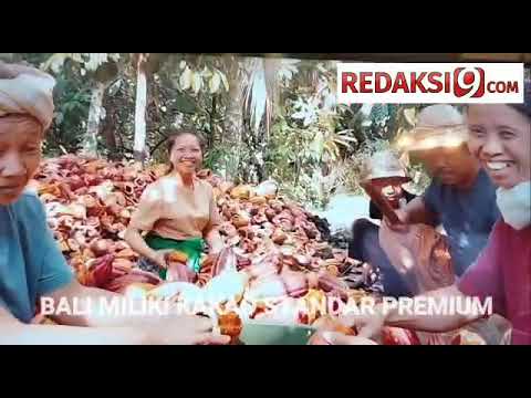 VAGEM DE CHOCOLATE BALI