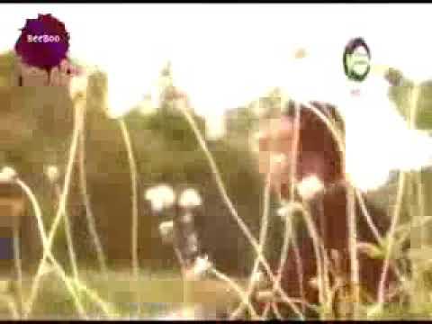 Jamal hermansyah Toba'nna