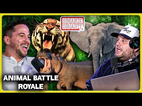 Drafting The Greatest Animal Battle Royale (ft. KB & Chef Donny)