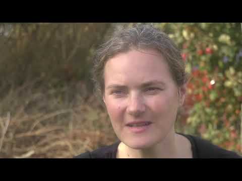 5 Hjemmeundervisning