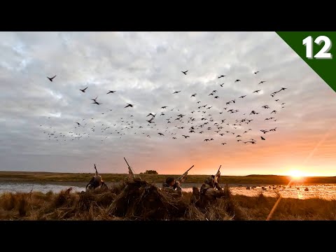 Duck Hunting A TINY POND | Loaded With MALLARDS & PINTAILS