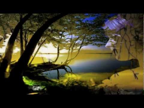 Hana Hegerová - Co mi dáš