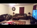 Girlfriend S Cat Caught And Killed A Bat