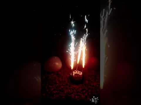 Happy birthday wajiha