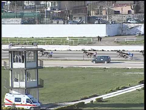 Trotto 08/03/2015 - 3° corsa