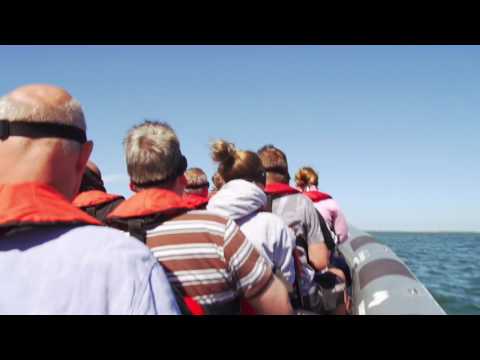 700 PS Action Pur - Heiligenhafen