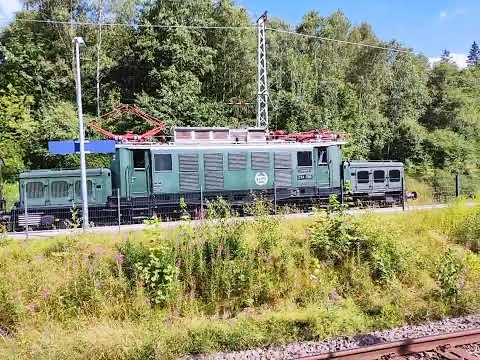 Das Krokodil 3Seenbahn