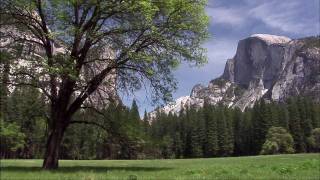 preview picture of video 'Yosemite Valley Tram Tour HD'