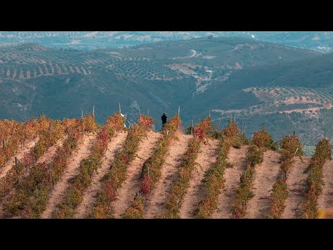 A Culinary Tour of Chania