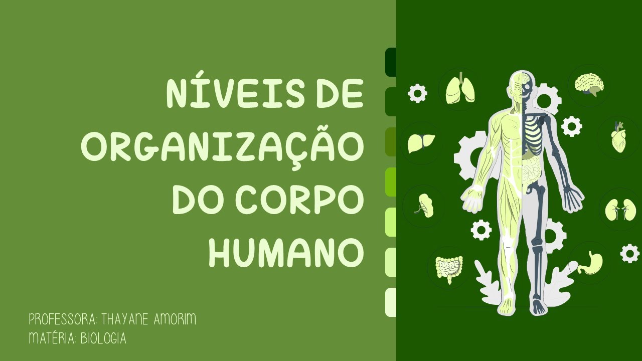 Níveis de organização do corpo humano - Células, Tecidos, Órgãos, Sistemas e Organismo.