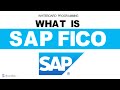 What Is SAP FICO Explained Introduction To SAP FICO Overview Basics