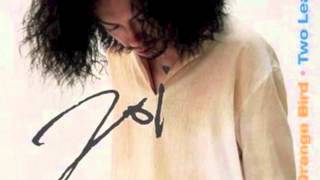 Joi - Orange Bird