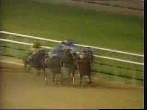 Cigar - 1996 Dubai World Cup