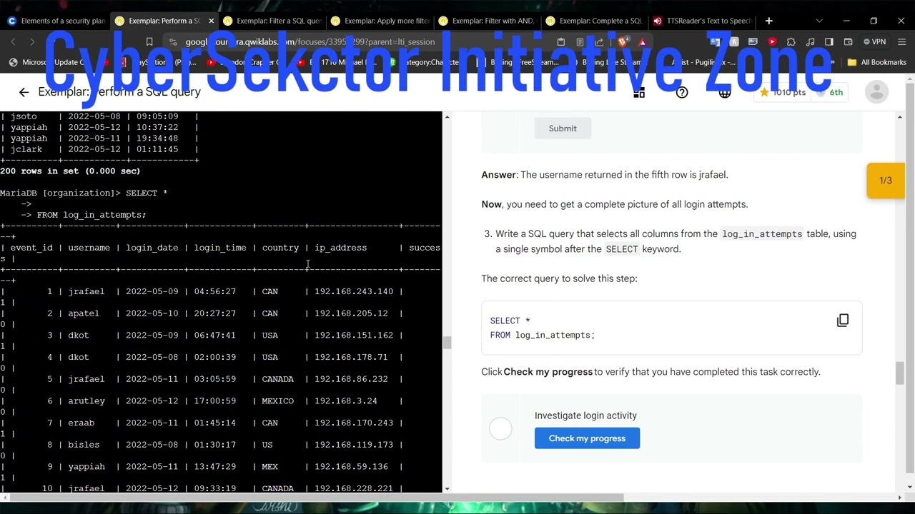 Google Cybersec  Linux Lab Project; Perform a SQL Query