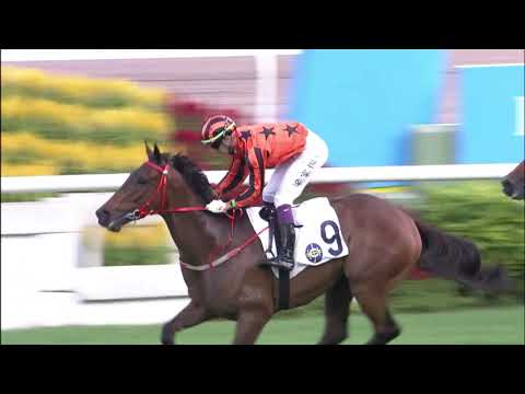 5/9/2021 (7) Viva Hunter - Derek Leung