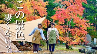【北海道キャンプ】秋キャンプに行ったら紅葉が綺麗すぎた！【夫婦のVlog】