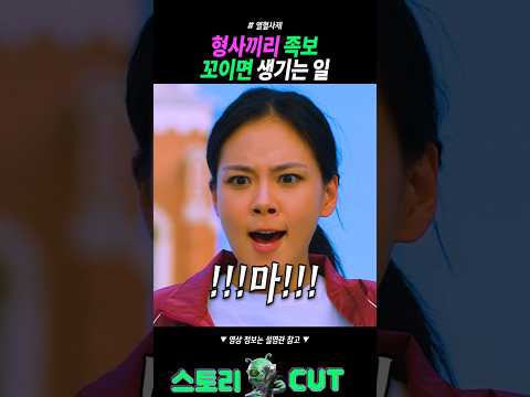 족보 제대로 꼬여버린 비비