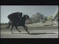 Netflix Commercial Giant Spider And Headless Horseman C 2007