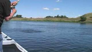 preview picture of video 'Fly Fishing the Missouri River'
