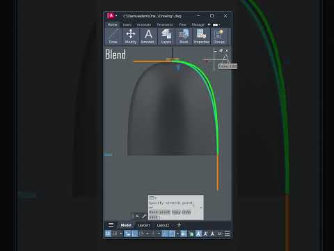 Intermediate To Advanced AutoCAD architecture floorplan architect