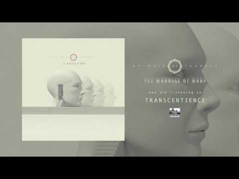 ANIMALS AS LEADERS - Transcentience