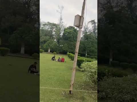 #shorts #konark #nature #viral #trending #shortsvideo #ytshort #youtube #youtubeshorts #sudipti