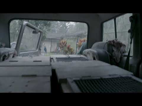 Pygmy Hog Conservation Programme