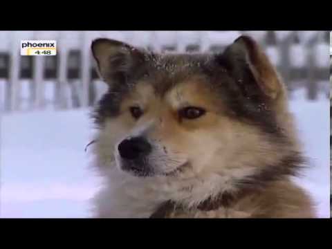 Sibiriens wilde Seele - Aufbruch ins russische Eis - Teil 6