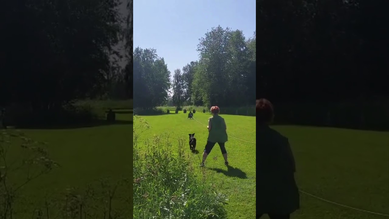 Moment 6 - Flockkänsla
