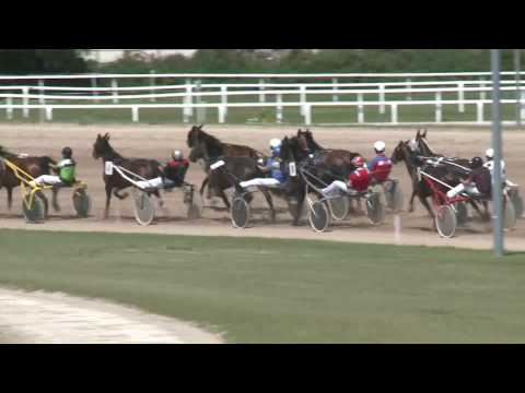 2017.05.27. 1. futam - FIRST KING HENDIKEP