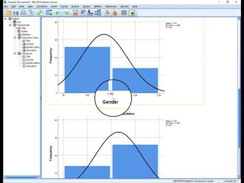 How to use SPSS for Descriptive Statistics and frequencies